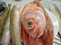 Bouillabaisse-3.jpg
