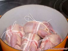 Cailles-3.jpg