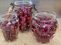 Cerises-photo-2.jpg