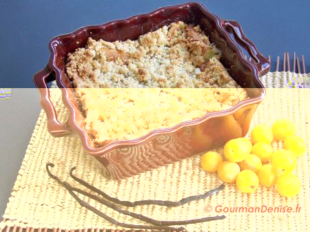 Clafoutis-de-mirabelles_-streusel-de-noisettes.jpg