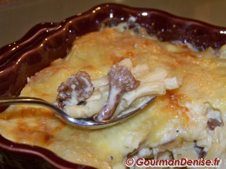 Gratin-de-macaronis-aux-girolles.jpg