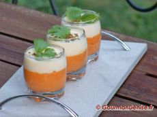 Mousse-Carotte-cumin-creme-de-parmesan-3-bis.jpg
