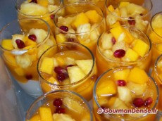 Mousse-chocolat-blanc-coco-passion-11.jpg