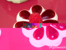 Pannacotta-vanille-bourbon-framboise-bis.jpg