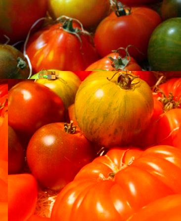 Tomates-3.jpg