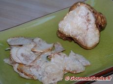 Truffe-blanche-3.jpg