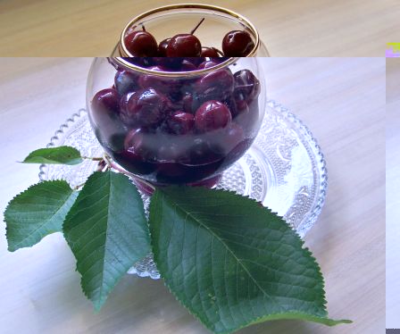 cerises-photo-1.jpg
