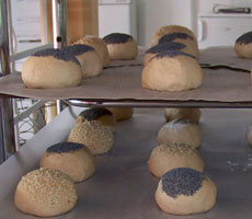 Pain-du-peuil---petits-pains.jpg